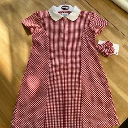 Red gingham summer dress zip front