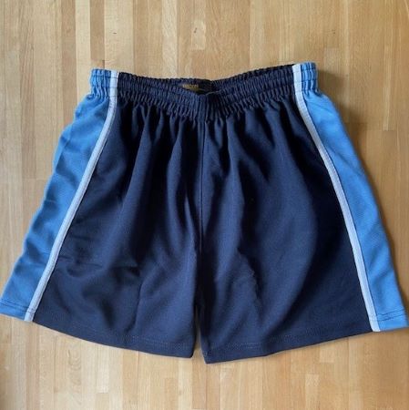 Dolphin School KS2 sports shorts