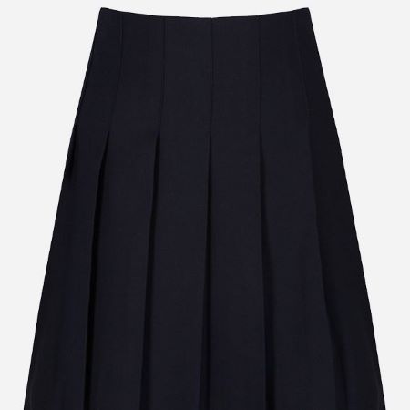 Navy all round pleated junior skirt(hsw)