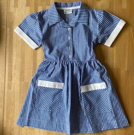Blue and white gingham summer dress