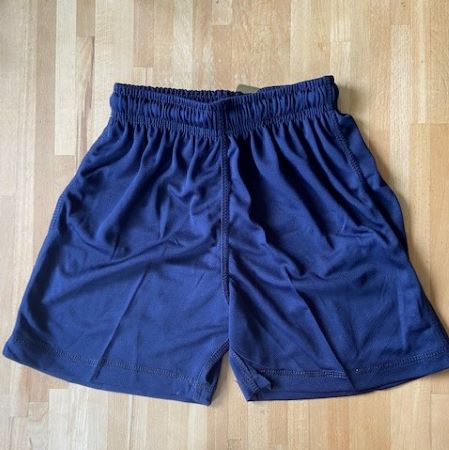 Dolphin School KS1 sports shorts