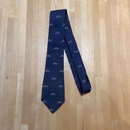 Dolphin School NEW tie