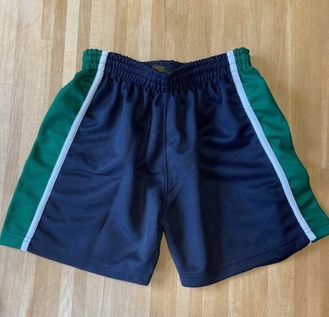 Hall School games shorts