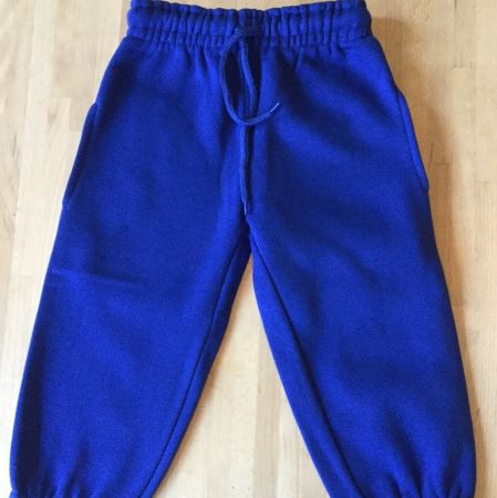 Royal blue jog pants