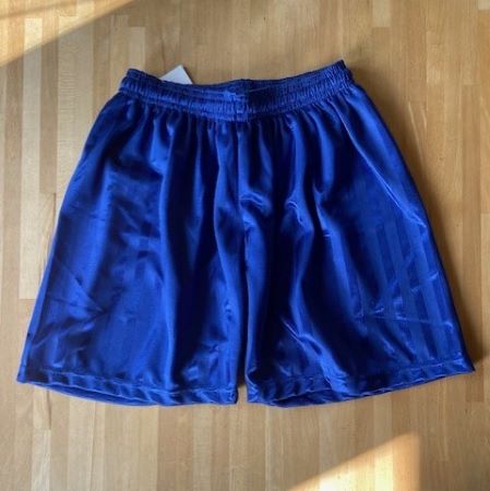 Royal blue shadow stripe shorts
